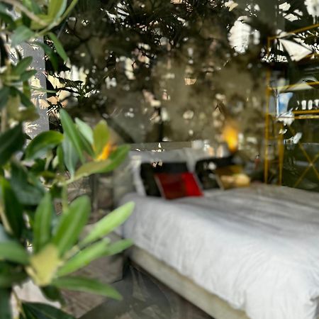 Daen'S Greenhouse Ουτρέχτη Εξωτερικό φωτογραφία