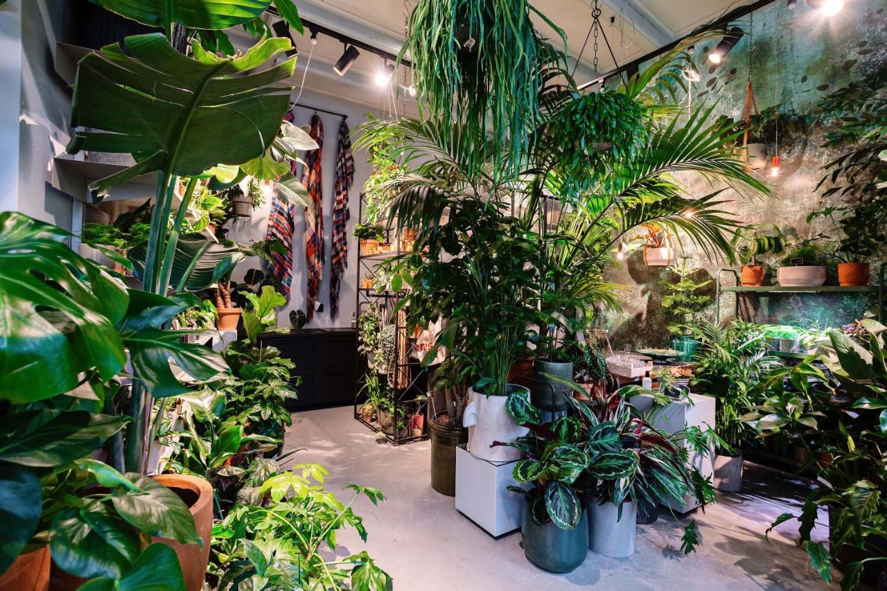 Daen'S Greenhouse Ουτρέχτη Εξωτερικό φωτογραφία